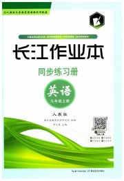 长江作业本同步练习册九年级英语人教版