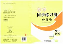 2023年同步练习册分层卷七年级历史下册人教版