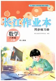长江作业本同步练习册六年级数学人教版