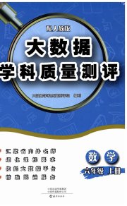 大数据学科质量测评六年级数学人教版