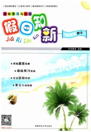 暑假学习与生活假日知新四年级数学人教版