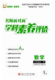 名师面对面学科素养评价九年级数学浙教版