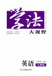 学法大视野九年级英语人教版