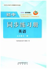 同步练习册明天出版社九年级英语鲁教版五四制