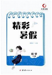 天舟文化精彩暑假团结出版社八年级数学湘教版