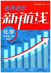 素养进阶新航线九年级化学鲁教版