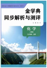 金学典同步解析与测评贵州人民出版社九年级化学人教版