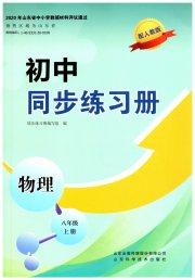 同步练习册山东科学技术出版社八年级物理人教版