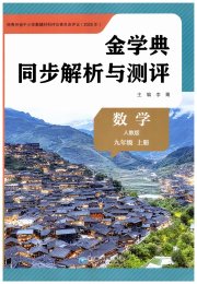 金学典同步解析与测评贵州人民出版社九年级数学人教版