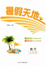 桂壮红皮书暑假天地河北少年儿童出版社七年级数学