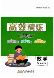 高效精练八年级数学苏科版