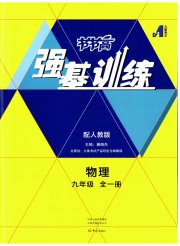 强基训练九年级物理人教版