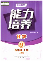新课程化学能力培养九年级人教版