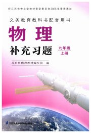 补充习题九年级物理苏科版江苏凤凰科学技术出版社