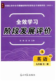 全效学习阶段发展评价九年级英语外研版