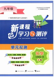 新课程学习与测评单元双测九年级化学人教版专版