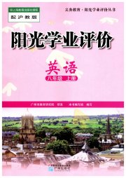 阳光学业评价八年级英语沪教版