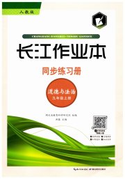 长江作业本同步练习册九年级道德与法治人教版