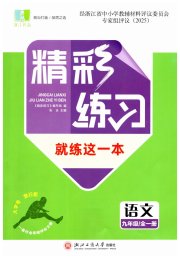 精彩练习就练这一本九年级语文人教版评议教辅