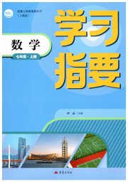 学习指要七年级数学人教版