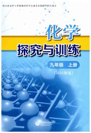 探究与训练九年级化学沪教版