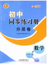 同步练习册分层拓展九年级数学鲁教版五四制