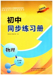 同步练习册山东科学技术出版社九年级物理教科版
