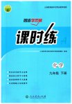 2023年同步导学案课时练九年级化学下册人教版
