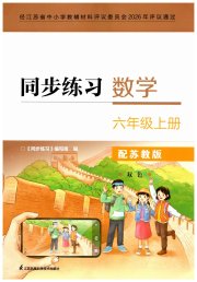 同步练习配套试卷六年级数学苏教版江苏凤凰科学技术出版社