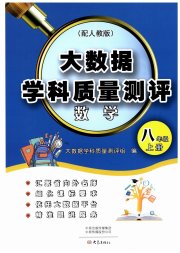 大数据学科质量测评八年级数学人教版