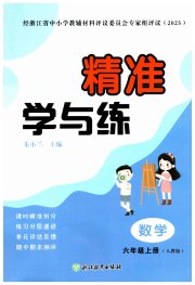 精准学与练六年级数学人教版