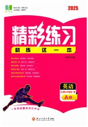 精彩练习就练这一本九年级英语外研版