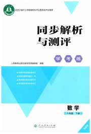 同步解析与测评学考练八年级数学人教版精练版