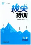 2023年拔尖特训九年级化学下册沪教版