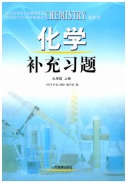 补充习题江苏九年级化学鲁教版