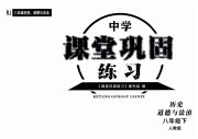 课堂巩固练习八年级历史道德与法治人教版