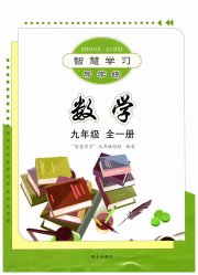 智慧学习九年级数学人教版