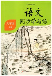 同步学与练九年级语文人教版河南专版