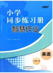 同步练习册智慧作业六年级英语人教版
