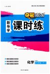 2023年夺冠百分百新导学课时练九年级化学下册人教版