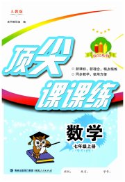 顶尖课课练七年级数学人教版