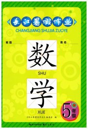 长江暑假作业五年级数学崇文书局