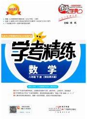 南粤学典学考精练八年级数学北师大版