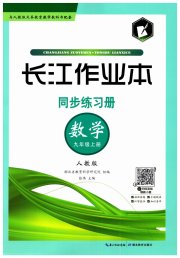 长江作业本同步练习册九年级数学人教版