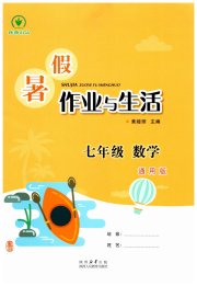 暑假作业与生活陕西人民教育出版社七年级数学通用版