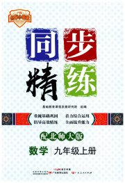 同步精练广东九年级数学北师大版
