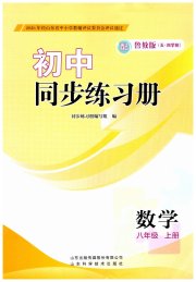 同步练习册山东科学技术出版社八年级数学鲁教版五四制