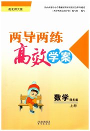 新课标两导两练高效学案四年级数学北师大版