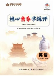 智慧课堂密卷100分单元过关检测七年级英语人教版