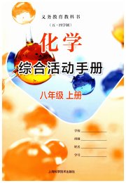 综合活动手册八年级化学沪教版五四制